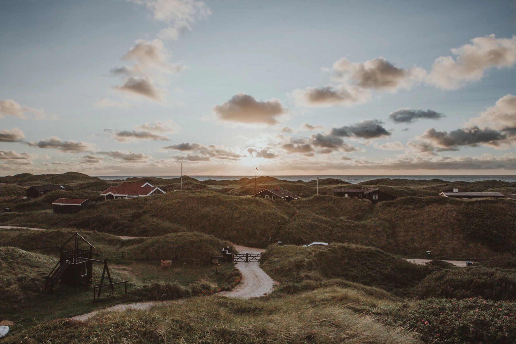 A wide expanse of dune heath under a broad sky