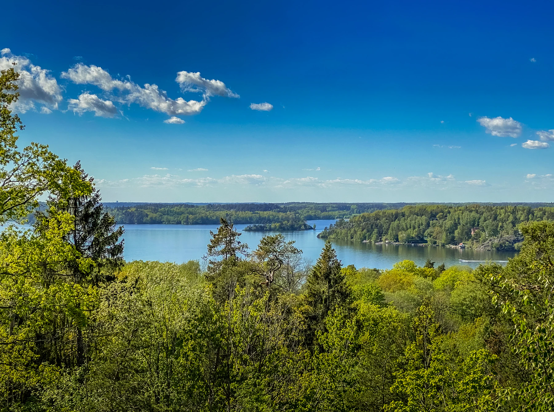 A forested lake with wooded islands under a blue sky