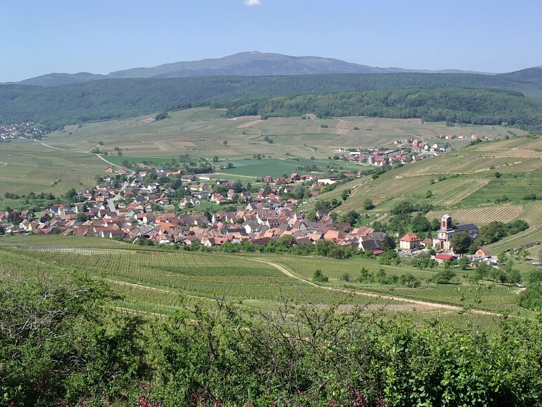 Vue de Westhalten, Haut-Rhin, Alsace, France