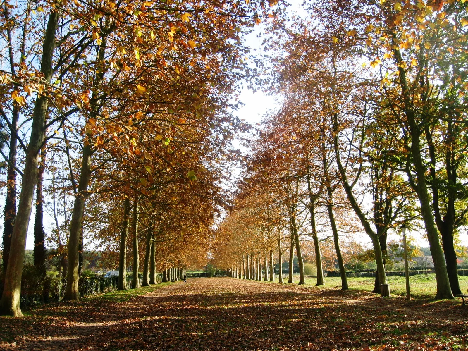 Entrée de l'Allée de Fontenailles à Ecommoy dans la Sarthe