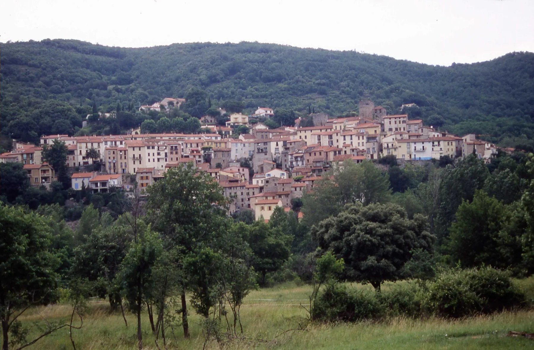 Vue générale de Palalda Amélie-les-Bains-Palalda, Pyrénées-Orientales, France.
