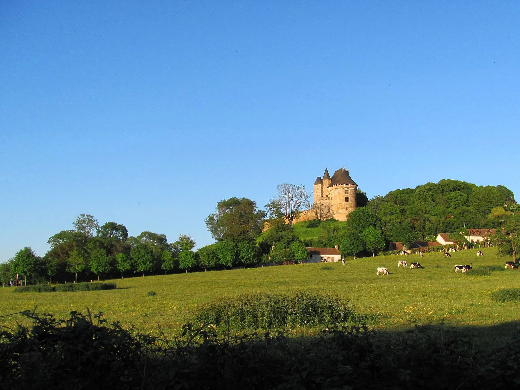 château de Ballon (72)