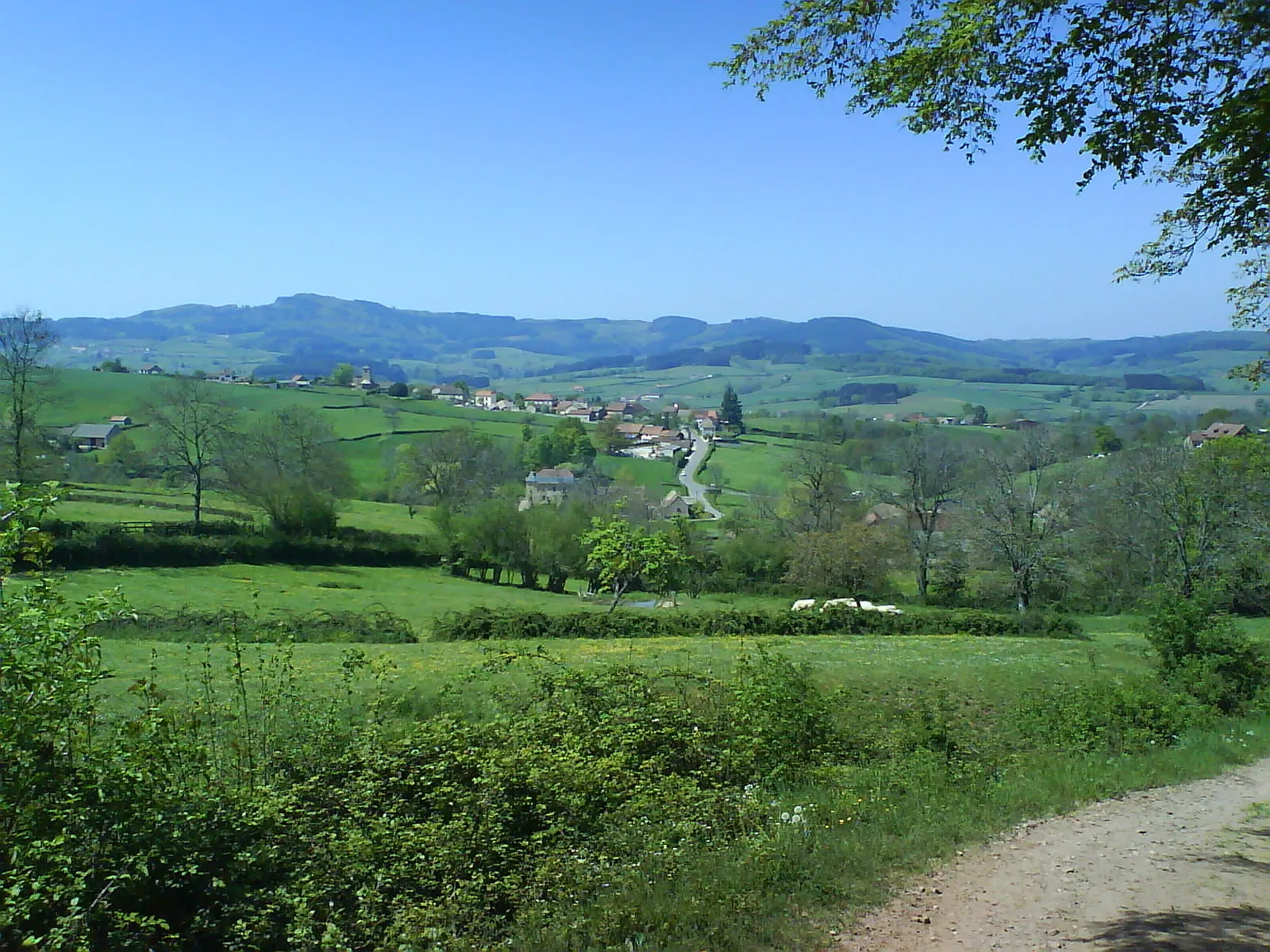 Photo of Buffières (71250 FRANCE)