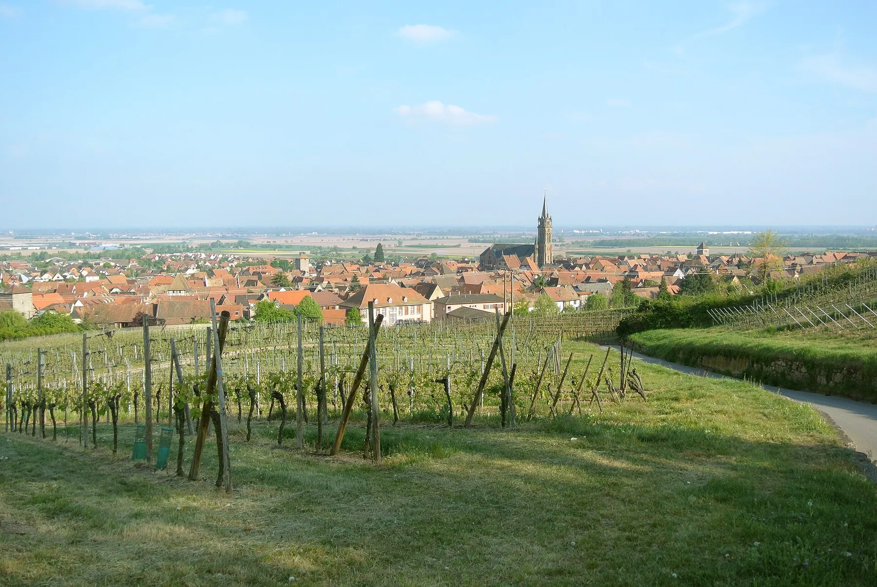 Panorama of Dambach-la-Ville, seen towards southeast and the plain.