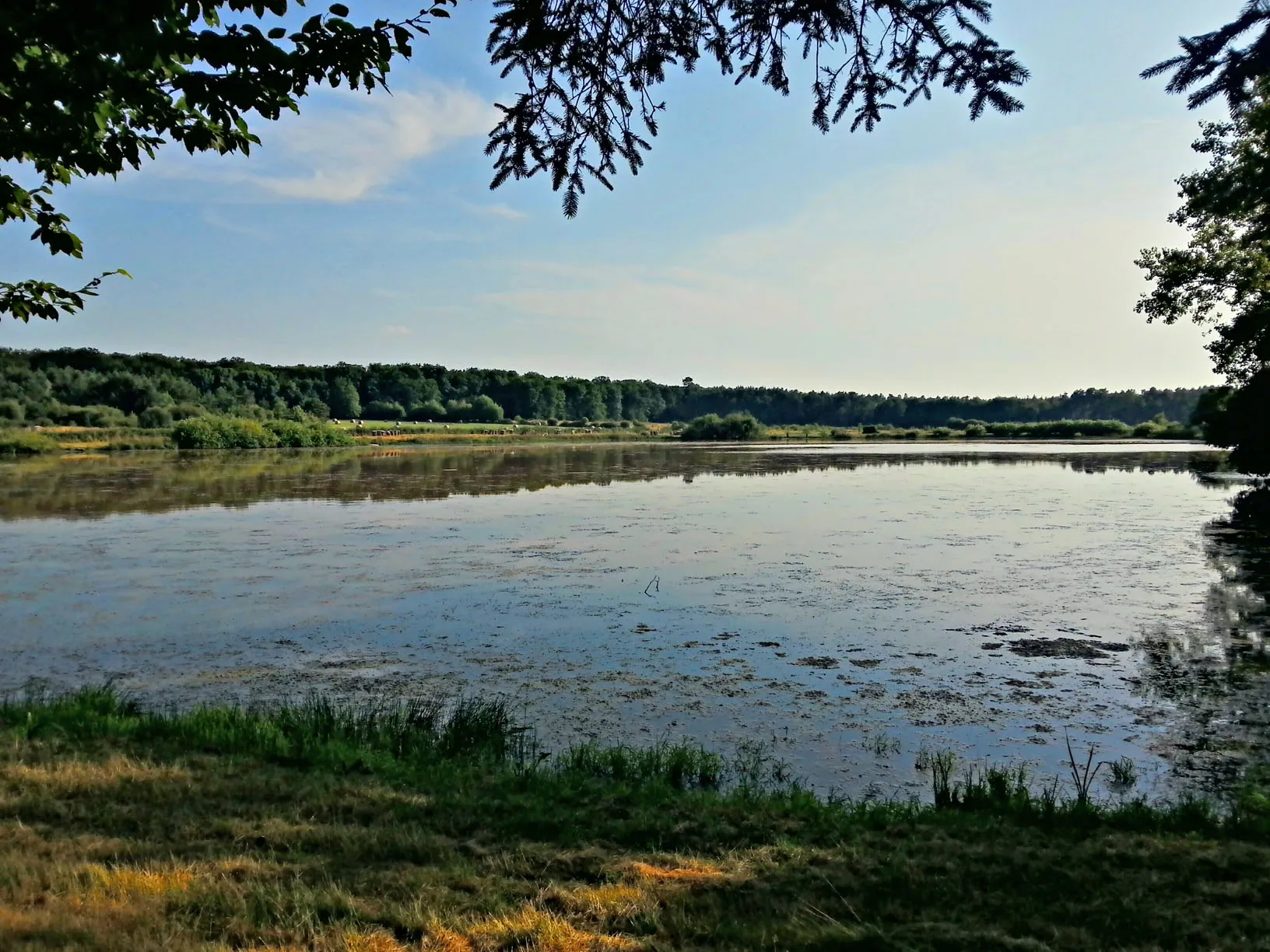 Etangs de La Pleure
