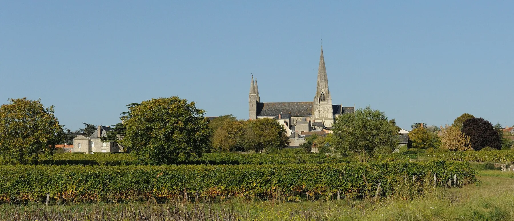 L'église du Puy-Notre-Dame dans le vignoble depuis la route de Vix.