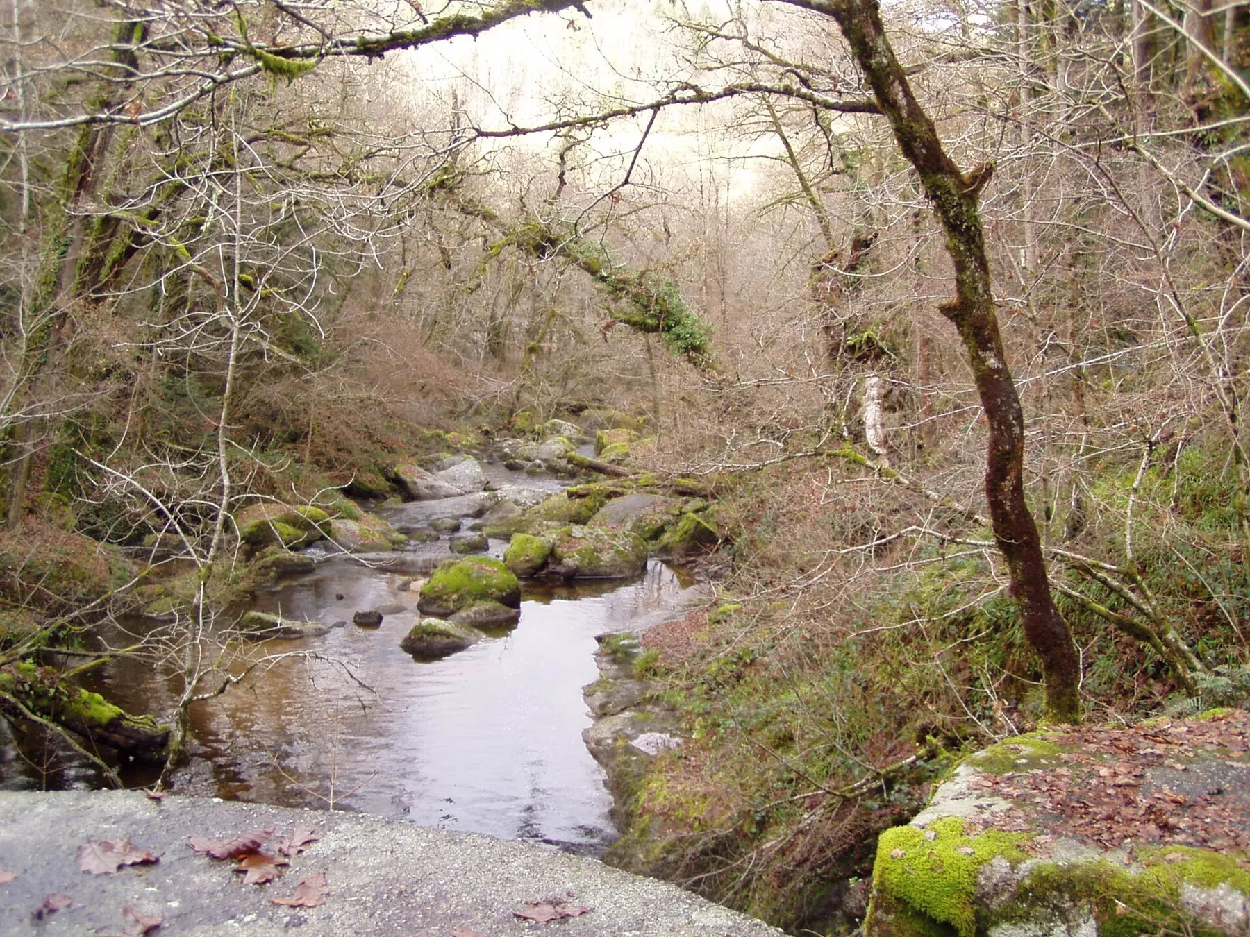 La Maulde au pied de la cascade des Jarrauds, dans le département de la Creuse