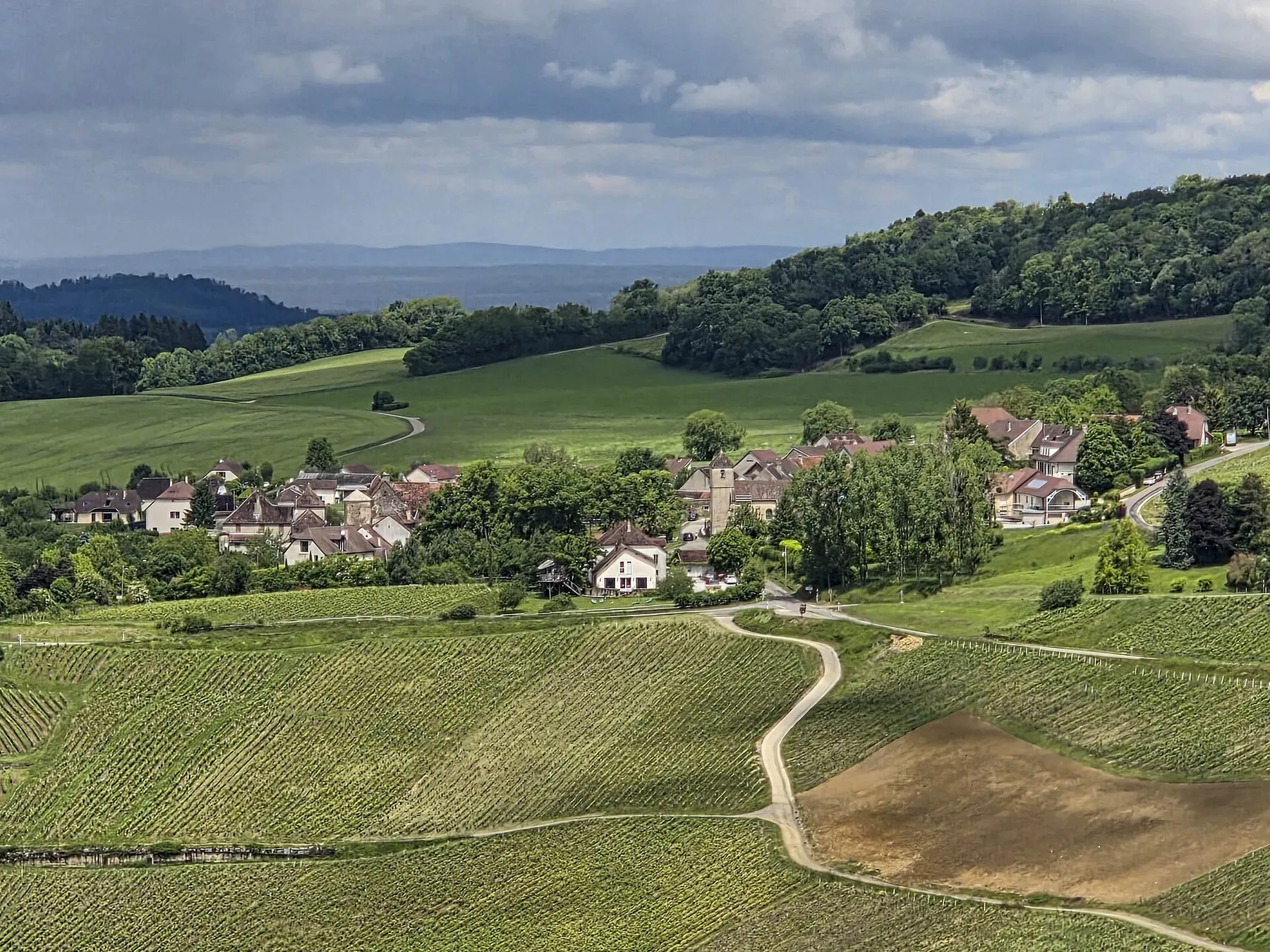 Menétru-le-Vignoble
