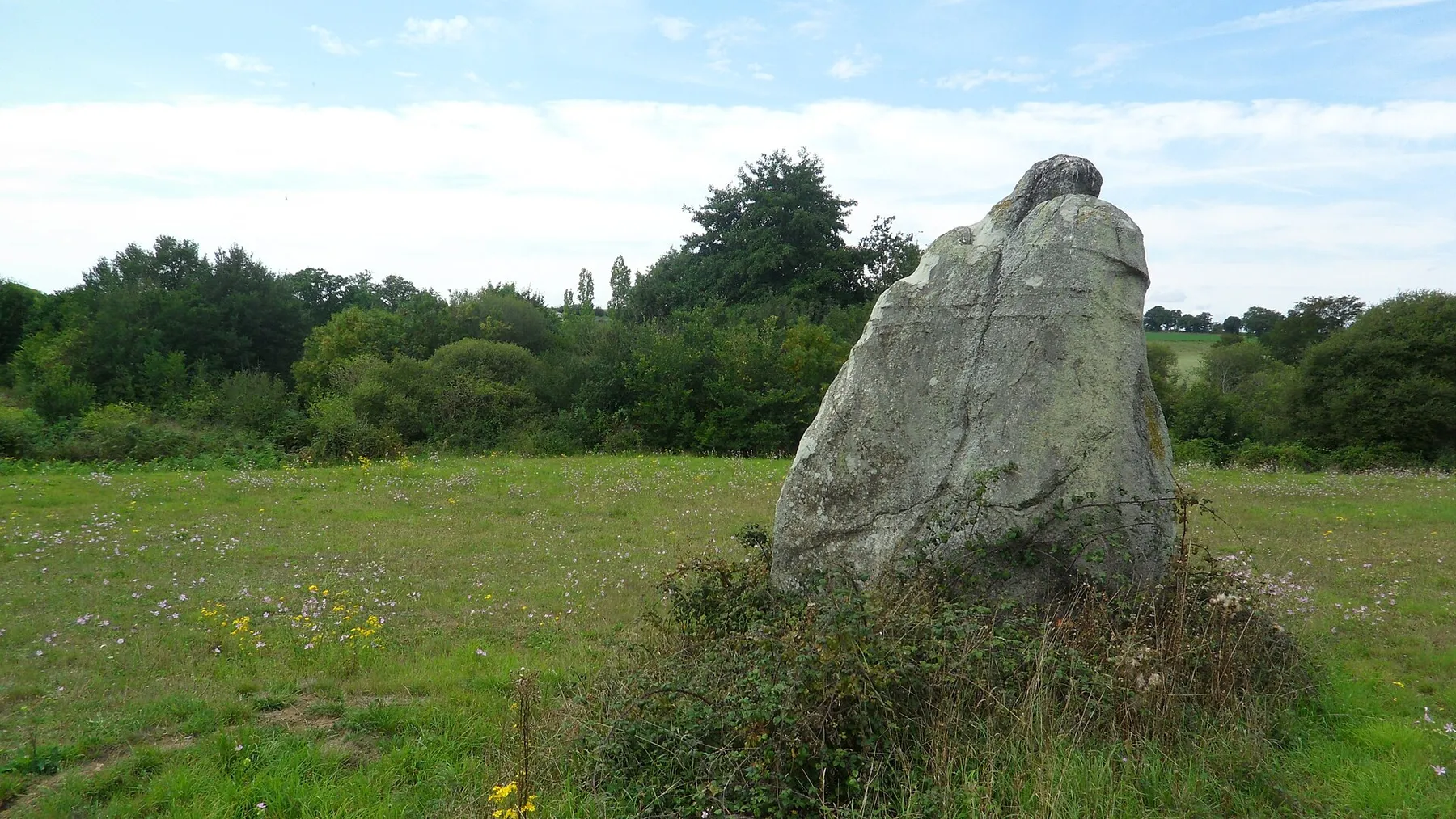 Menhir dit La Pierre au sel, monument historique à Maulévrier (Maine-et-Loire, France).