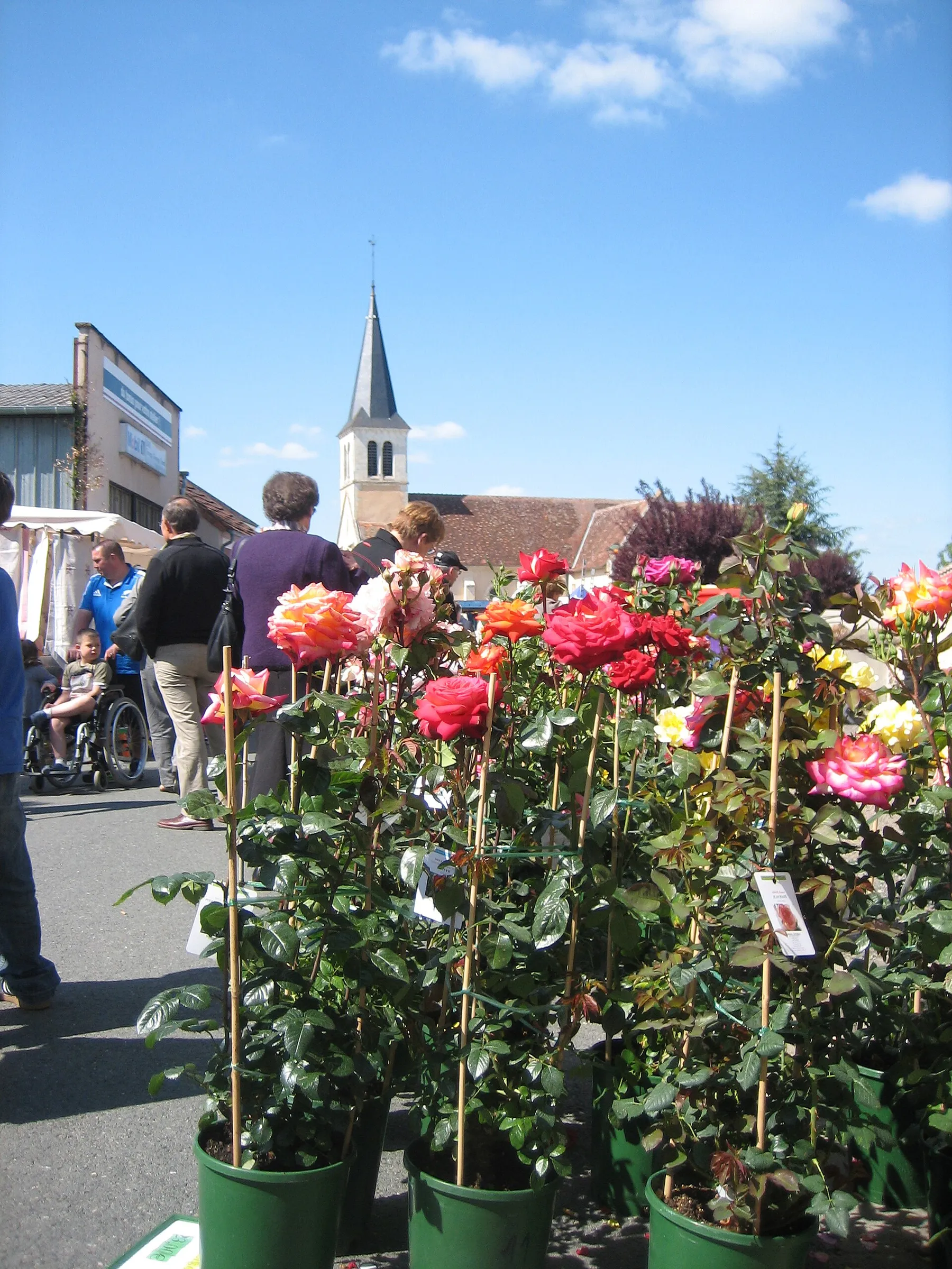 Église de Mers sur Indre, photo prises pendant la foire aux plants