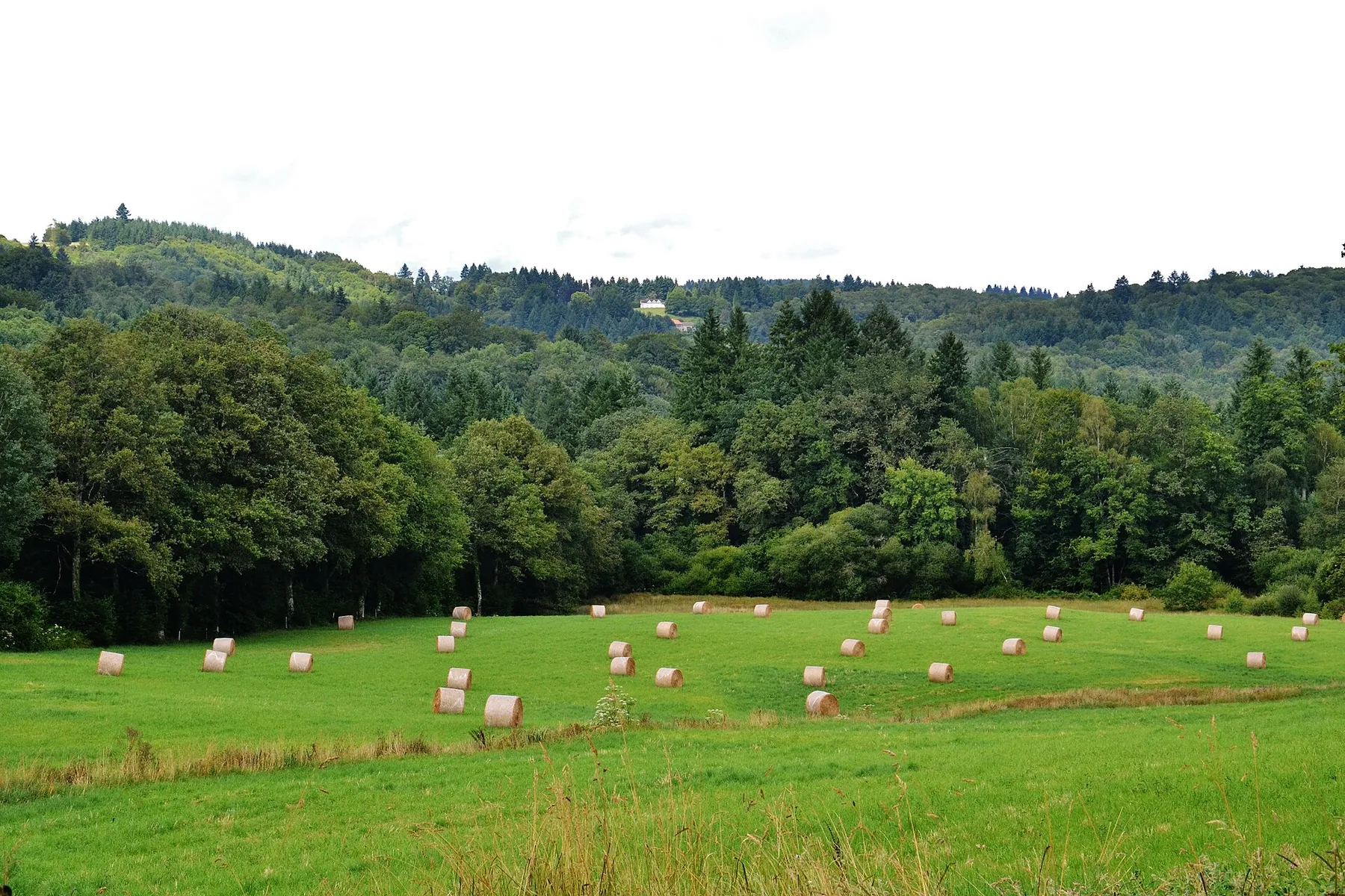 Bonnac-la-Côte