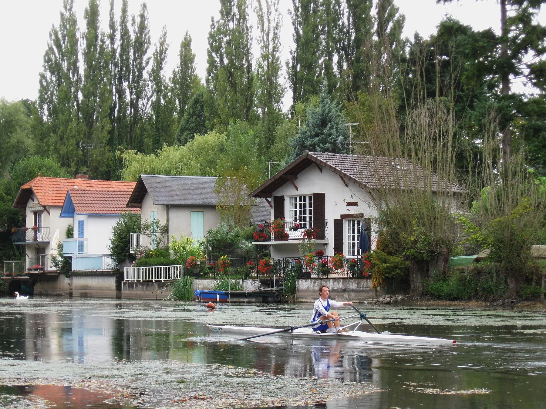 Le Loiret près du pont Cotelle, Olivet, Loiret, France