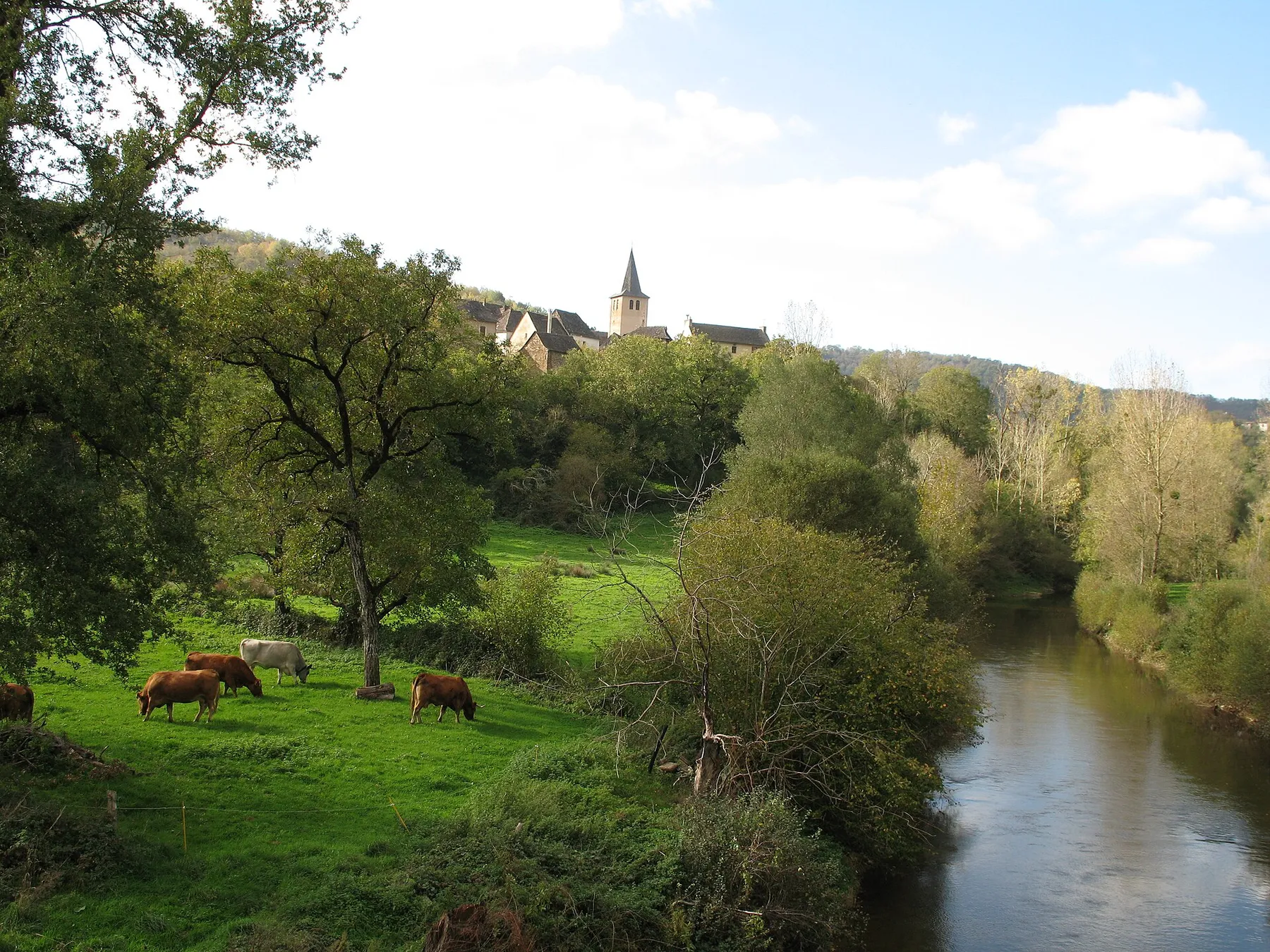 Vue générale Prévinquières (Aveyron)