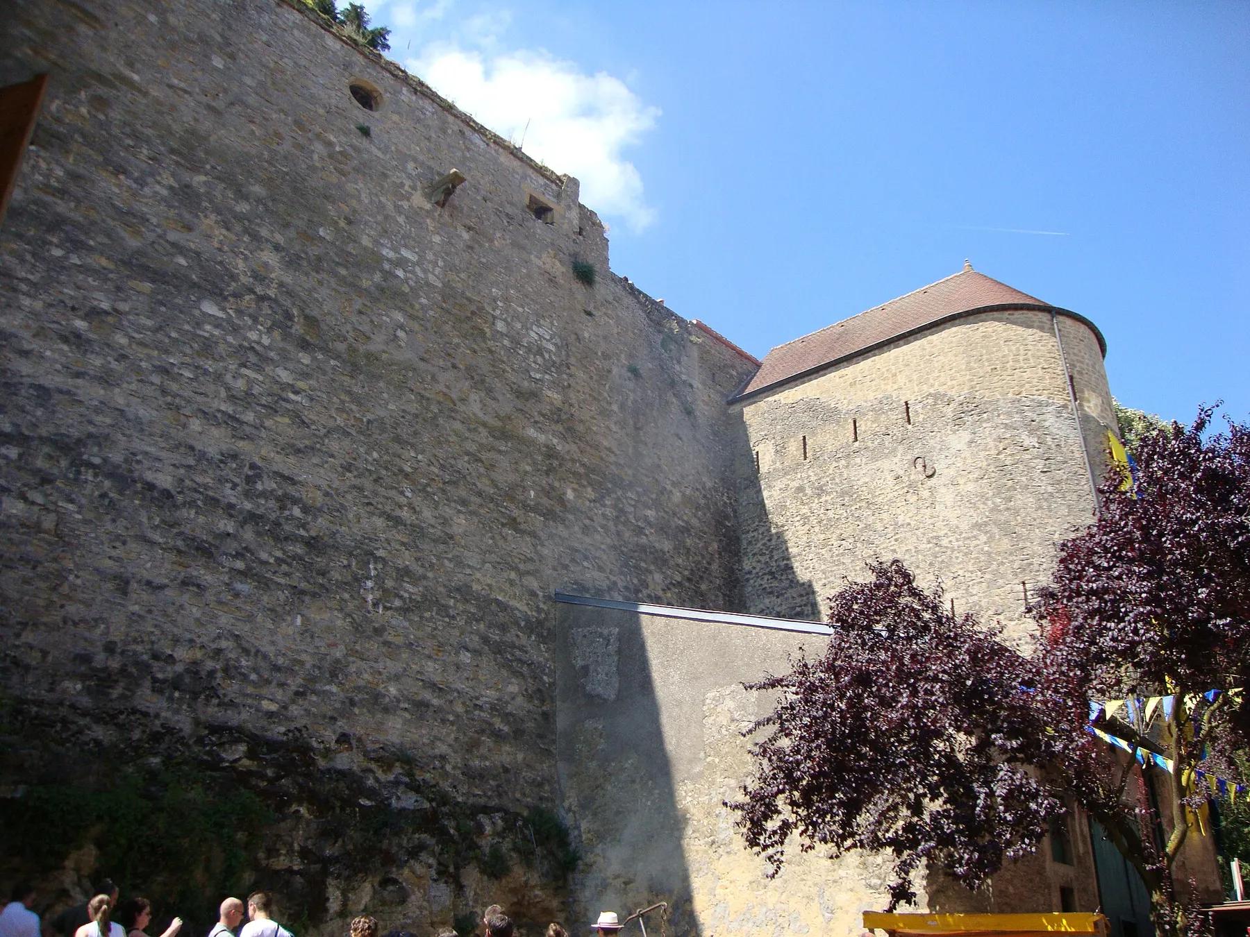 Rodemack (57)
