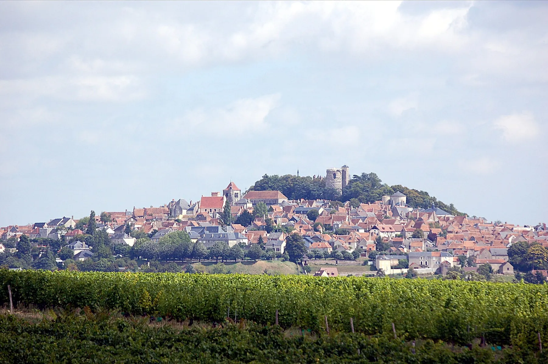 Blick auf Sancerre von Süden
