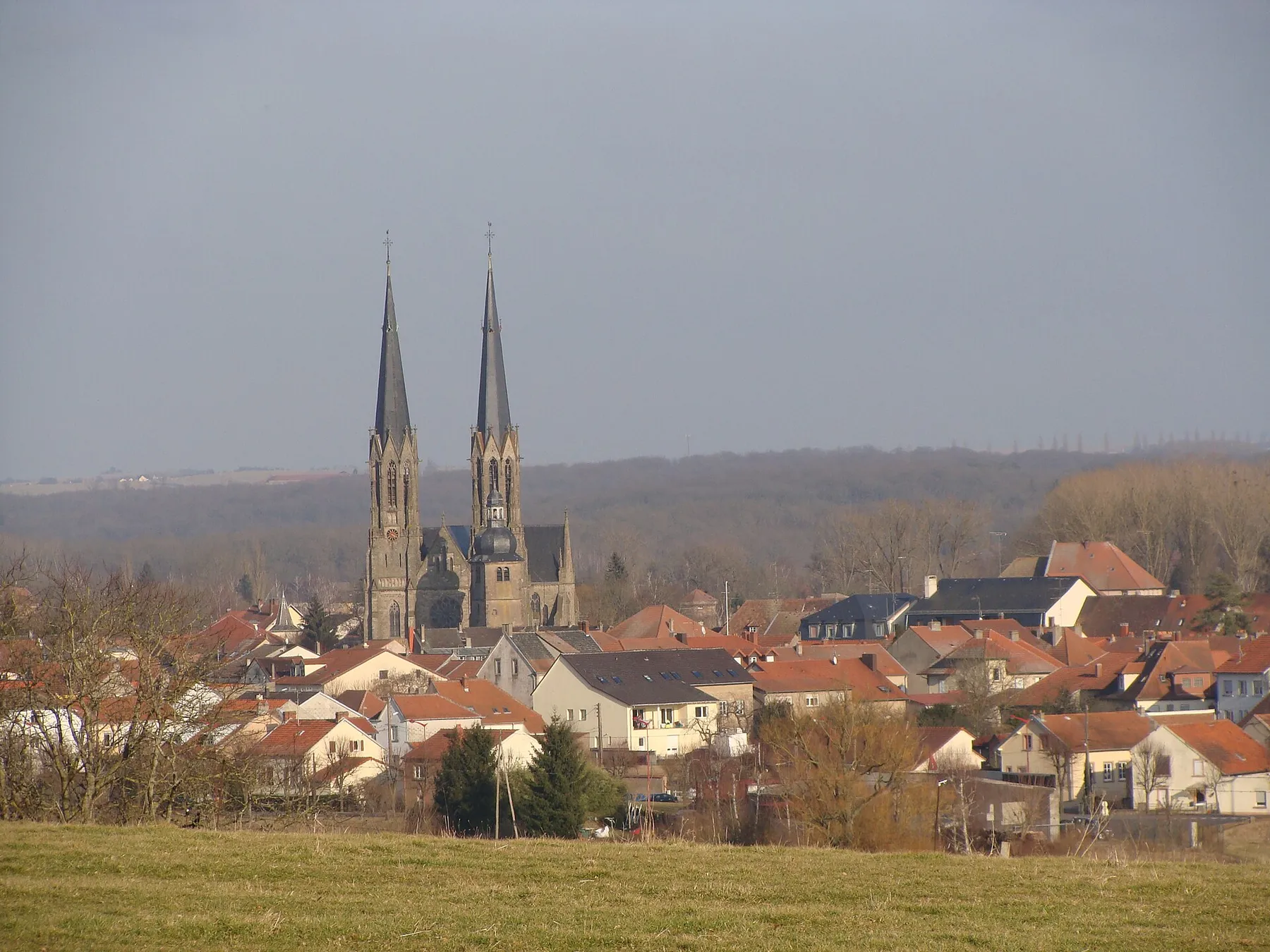 Sarralbe (Moselle), vue de la ville et de l'église Saint-Martin.