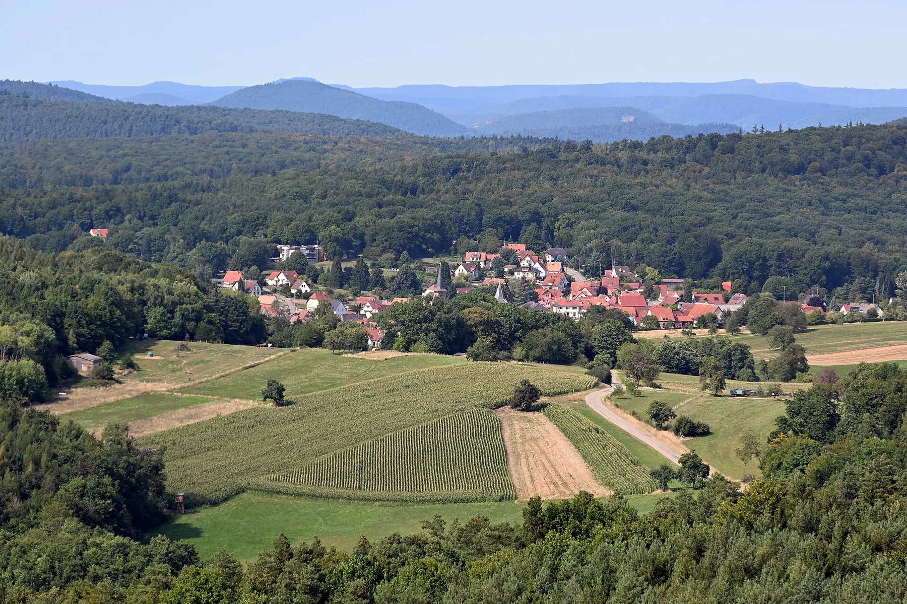 View of Climbach from Chemin des Cimes, Cleebourg, 2025