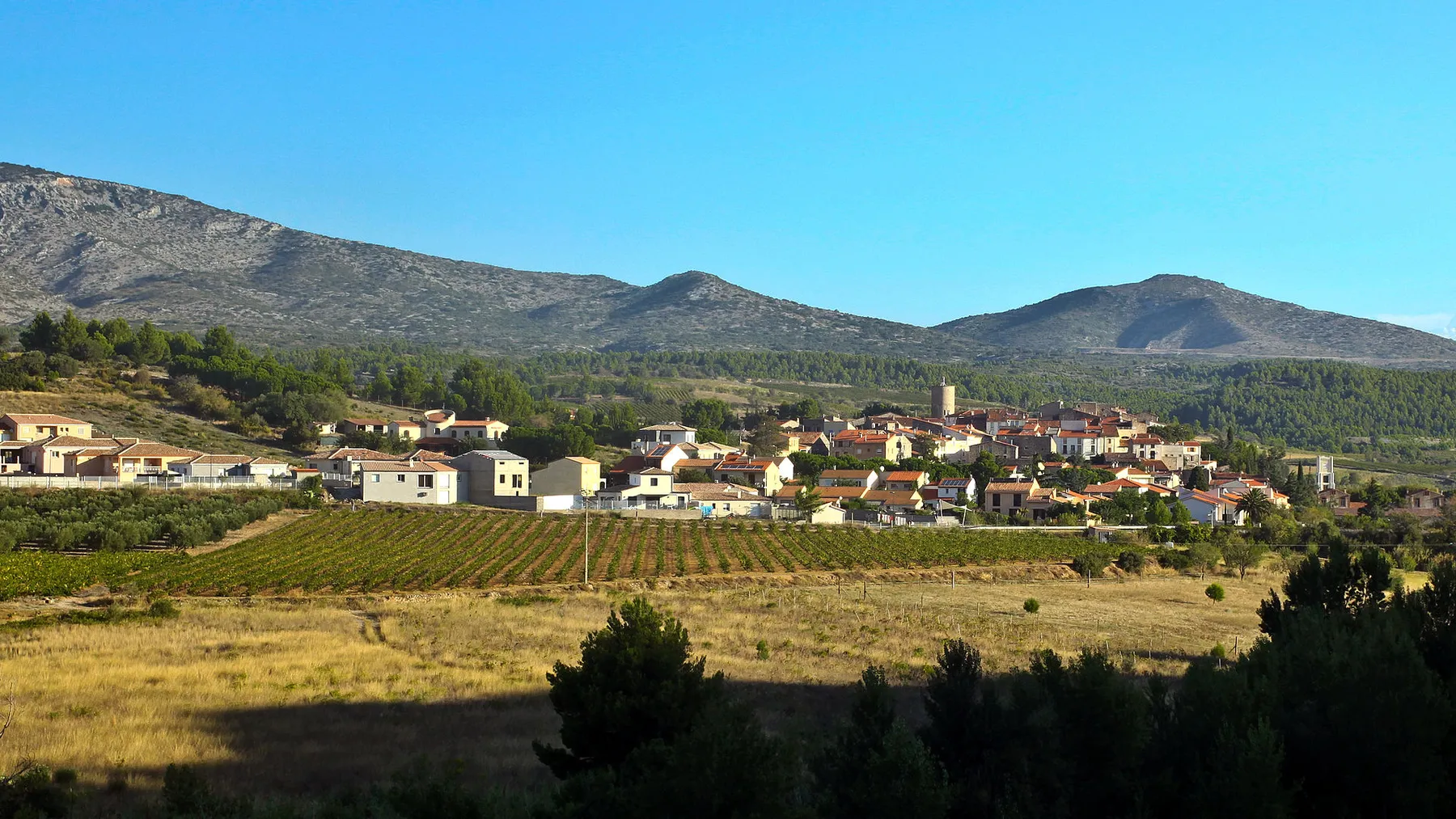 Le village de Cases-de-Pène