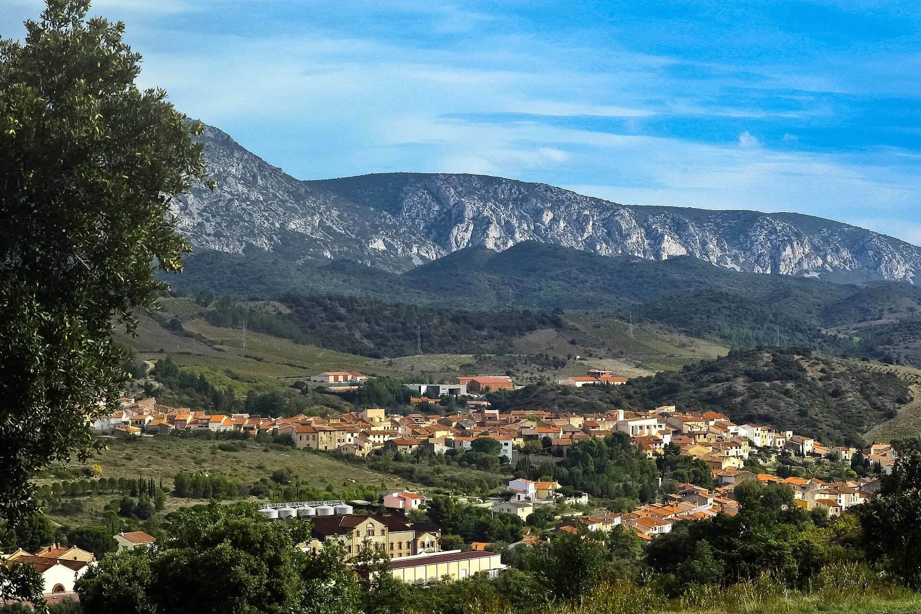 Le village de Maury, Pyrénées-Orientales, vue sud