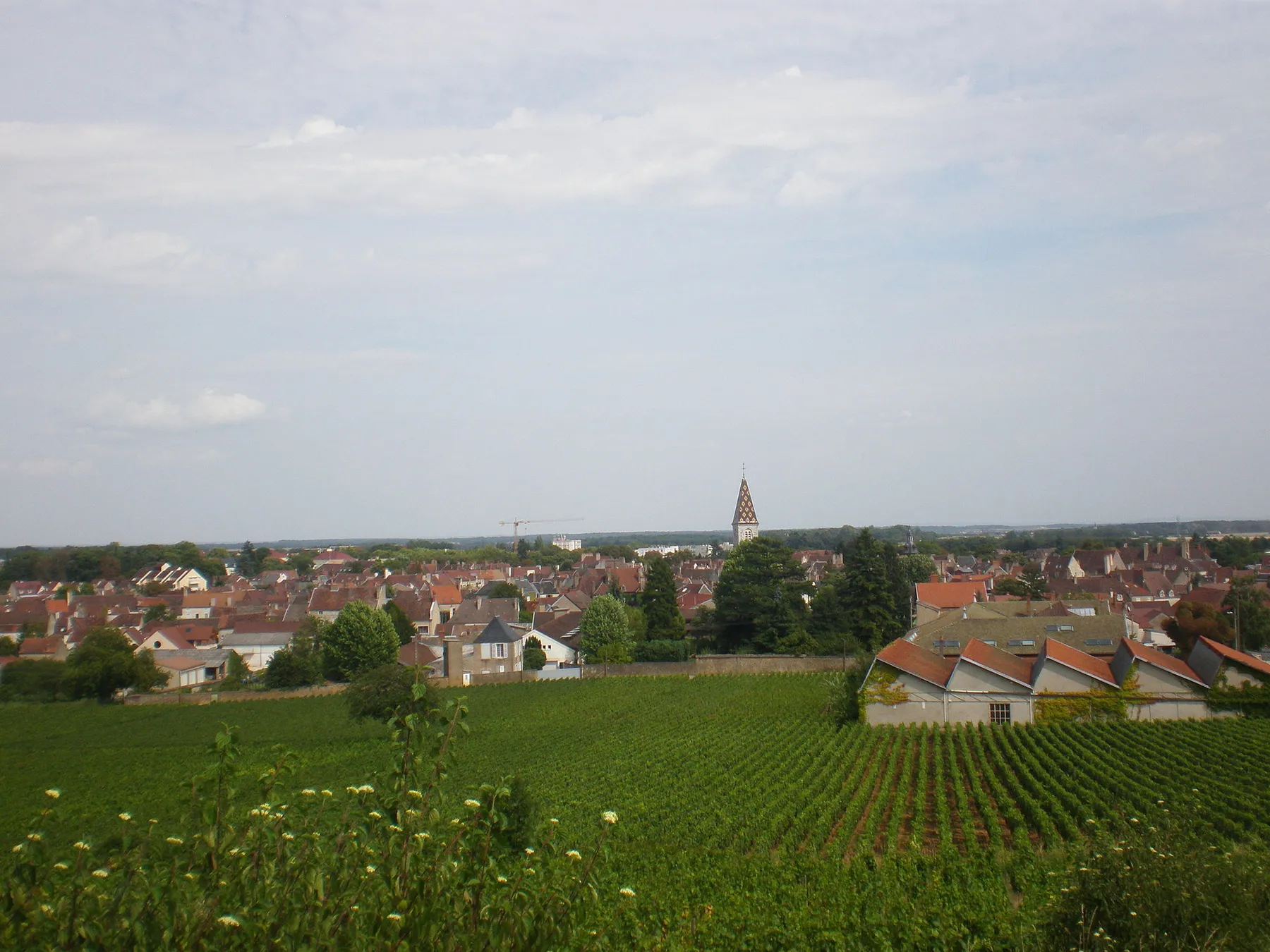 Vue de Nuits-Saint-Georges dans une côte