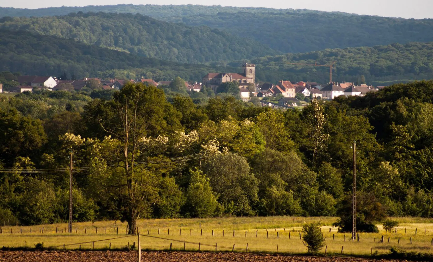 Vue sur saulx de Vesoul depuis Les Landres