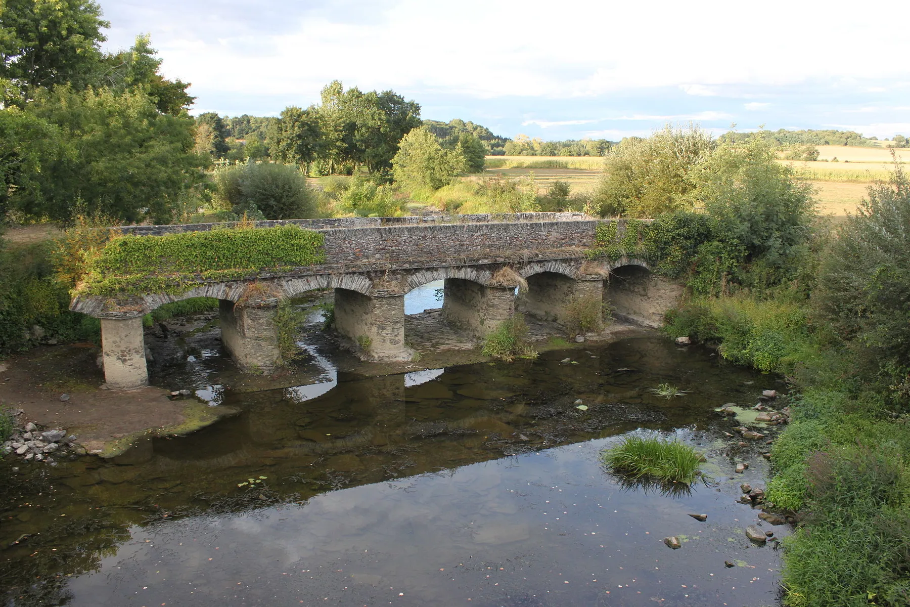 Vieux pont sur l'Oudon, Fr-49-Nyoiseau.